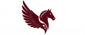 flydost.com